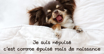 Aperçu de la carte : Je suis "népuisé", c'est comme épuisé mais de naissance