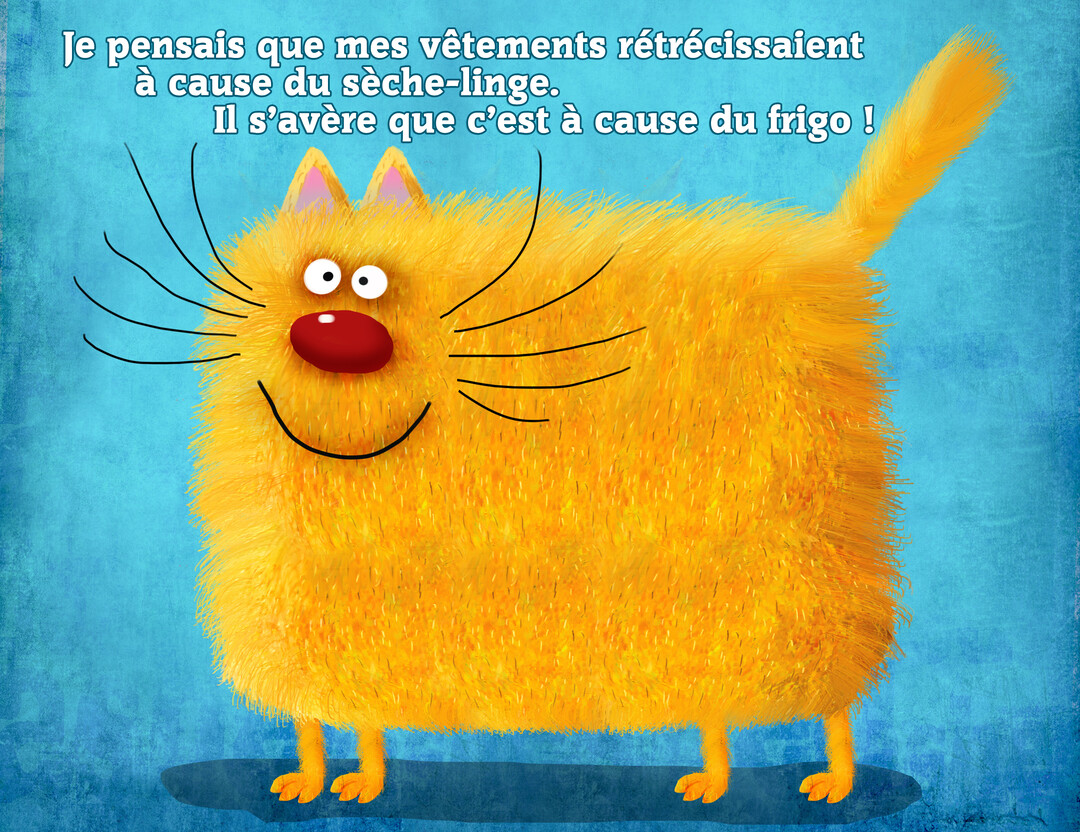 Un chat jaune et corpulent, au pelage dense et au grand sourire, se tient sur un fond bleu texturé avec une citation humoristique.