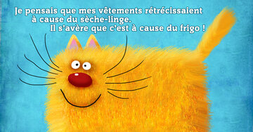 Aperçu de la carte : « Je pensais que mes vêtements rétrécissaient à cause du sèche-linge... »