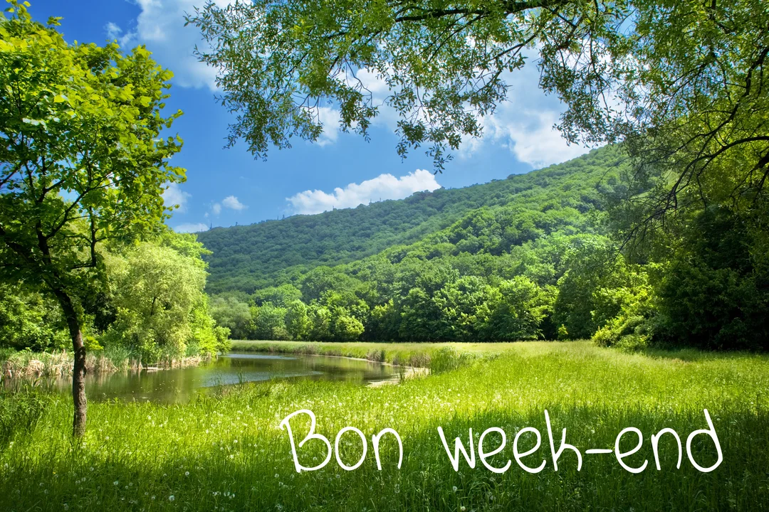 Un paysage estival avec une prairie verdoyante au bord d'un lac, une colline boisée sous un ciel bleu, le tout encadré par des branches d'arbres.