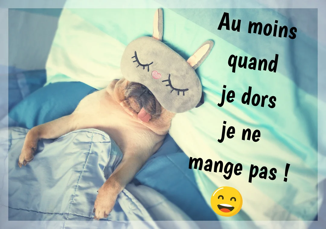 Un petit chien carlin beige est allongé sur le dos dans un lit, portant un masque de sommeil gris avec des oreilles de lapin.