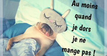 Aperçu de la carte : Au moins
quand
je dors
je ne 
mange pas !