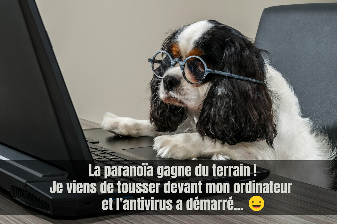 Un chien Cavalier King Charles noir et blanc, portant des lunettes rondes, regarde un ordinateur portable sur un bureau avec une expression sérieuse.