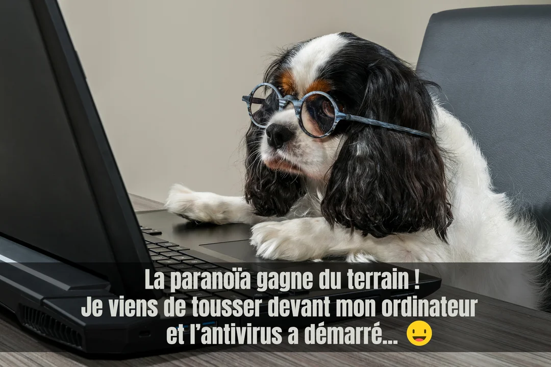 Un chien Cavalier King Charles noir et blanc, portant des lunettes rondes, regarde un ordinateur portable sur un bureau avec une expression sérieuse.