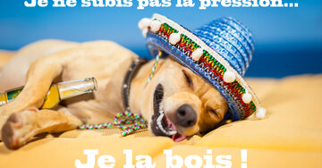 Aperçu de la carte : Je ne subis pas la pression... Je la bois !
