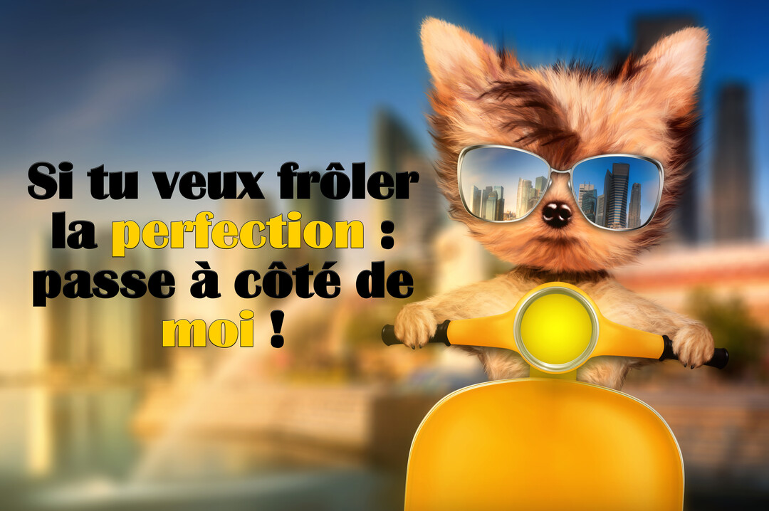 Un petit chien anthropomorphe marron, portant des lunettes de soleil miroir, conduit un scooter jaune devant un paysage urbain flouté au coucher du soleil.