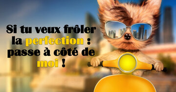 Aperçu de la carte : « Si tu veux frôler la perfection : passe à côté de moi ! »...