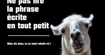 Aperçu de la carte : Ne pas lire 
la phrase
écrite 
en tout petit