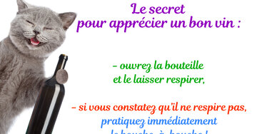 Aperçu de la carte : « Le secret pour un bon vin... pratiquez le bouche-à-bouche ! »...