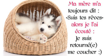 Aperçu de la carte : « Ma mère m'a dit : "Suis tes rêves"... alors je suis retourné me coucher :) »