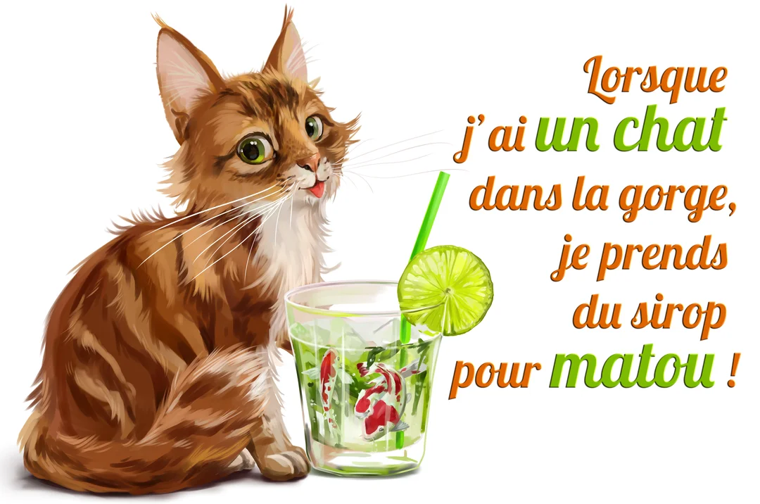 Un chat roux au pelage soyeux est assis à côté d'un verre contenant une boisson verte, une tranche de citron et des poissons.