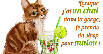Aperçu de la carte : « Pour un chat dans la gorge... le sirop pour matou !... »