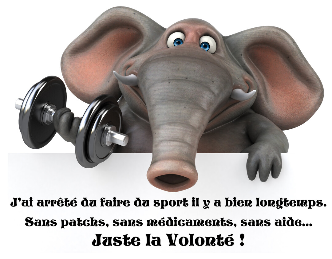 Un éléphant gris en 3D avec de grands yeux bleus soulève un haltère noir, se tenant derrière une surface blanche où est écrit un texte.