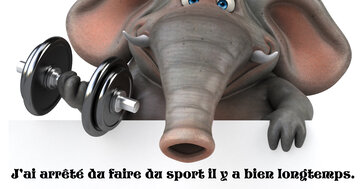 Aperçu de la carte : « J'ai arrêté de faire du sport... Juste la Volonté ! »...