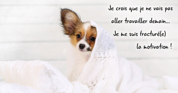 Aperçu de la carte : « Pas de travail demain... je me suis fracturé la motivation ! »...