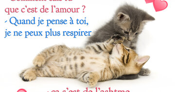 Aperçu de la carte : « Quand je pense à toi... c'est de l'asthme. Alors je t'ashtme ! »...