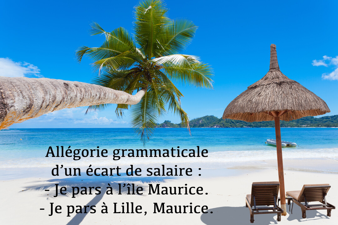 Une plage tropicale avec un palmier en premier plan, sur laquelle est inscrite une citation humoristique comparant un voyage à l'île Maurice et Lille.