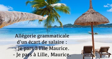 Aperçu de la carte : « Allégorie grammaticale d'un écart de salaire... »