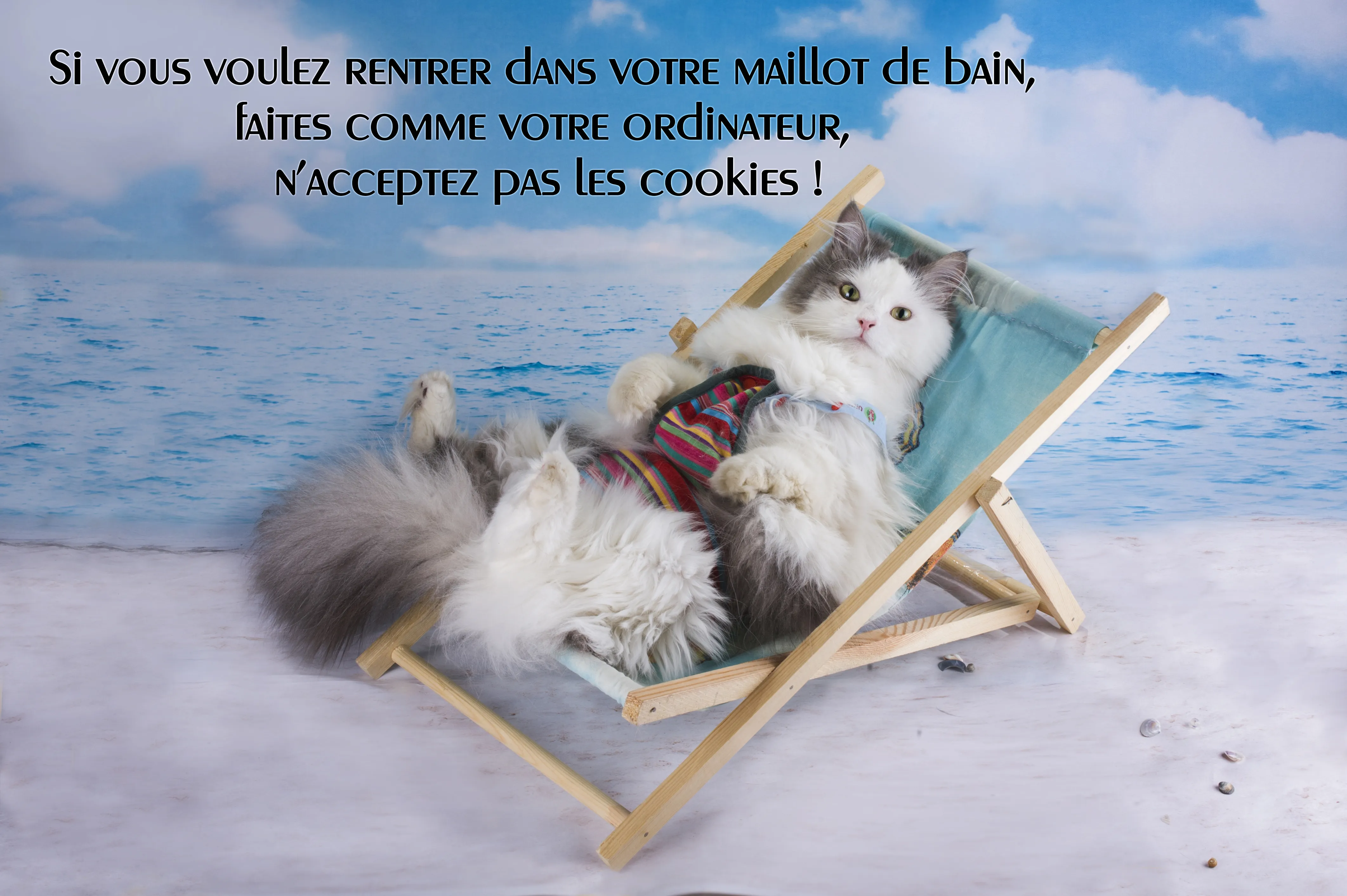 carte-blague