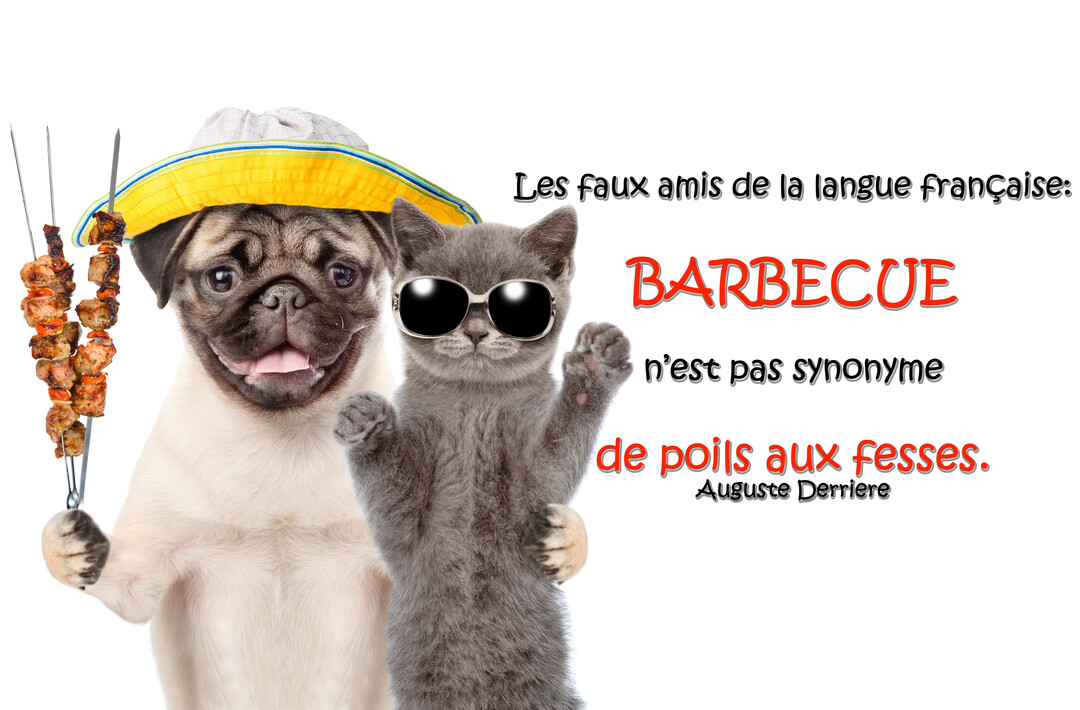 Un carlin souriant avec un chapeau et un chaton cool avec des lunettes de soleil posent ensemble, le chien tenant des brochettes.