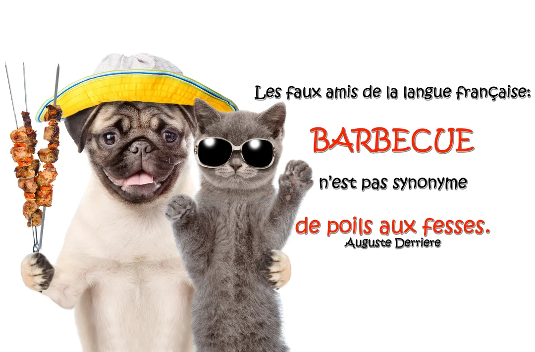 Un carlin souriant avec un chapeau et un chaton cool avec des lunettes de soleil posent ensemble, le chien tenant des brochettes.