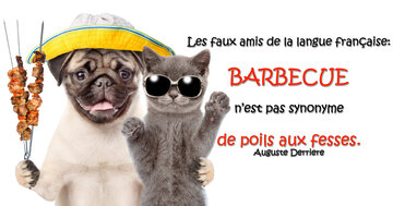 Aperçu de la carte : « Les faux amis de la langue française: BARBECUE n'est pas synonyme... »