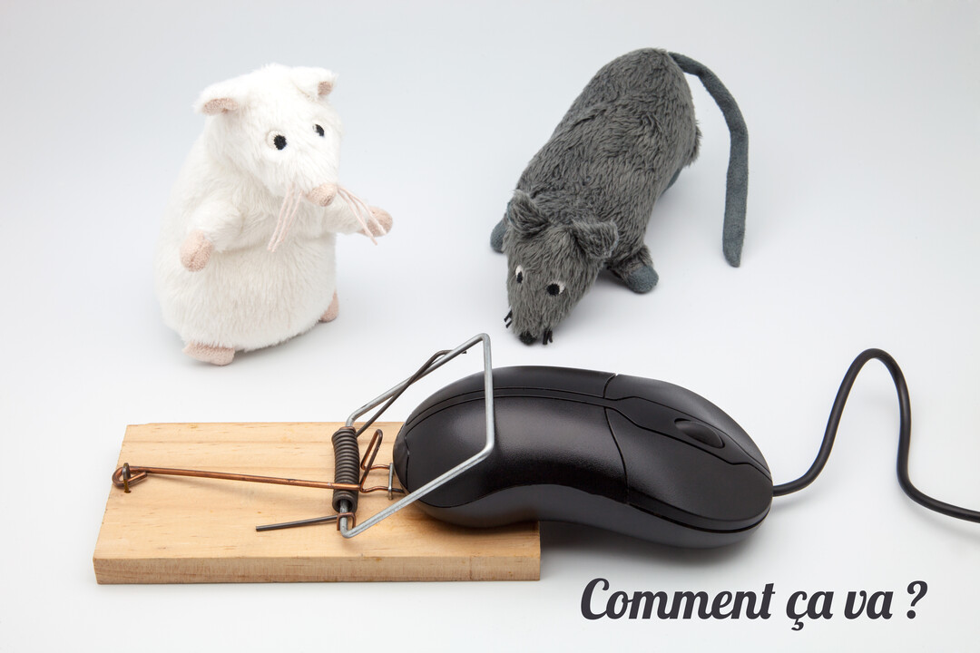 Sur fond blanc, deux jouets souris observent une souris d'ordinateur noire piégée sur une tapette en bois, illustrant un jeu de mots.