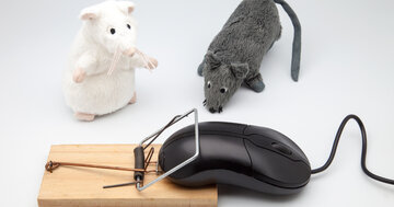 Aperçu de la carte : Comment ça va ?