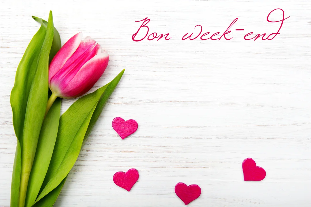 Une tulipe rose et ses feuilles vertes sont posées sur un fond en bois blanc, avec l'inscription "Bon week-end" et quatre petits coeurs roses.