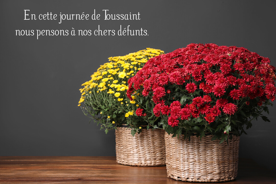 Deux bouquets de chrysanthèmes, l'un rouge vif et l'autre jaune, dans des paniers en osier, sont posés sur une table en bois sur un fond gris.