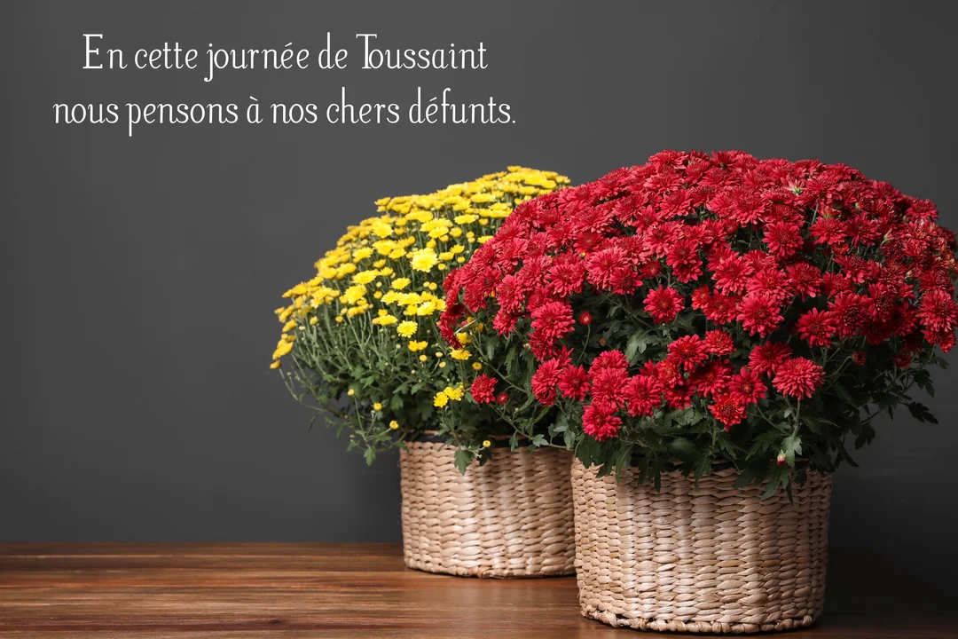 Deux bouquets de chrysanthèmes, l'un rouge vif et l'autre jaune, dans des paniers en osier, sont posés sur une table en bois sur un fond gris.