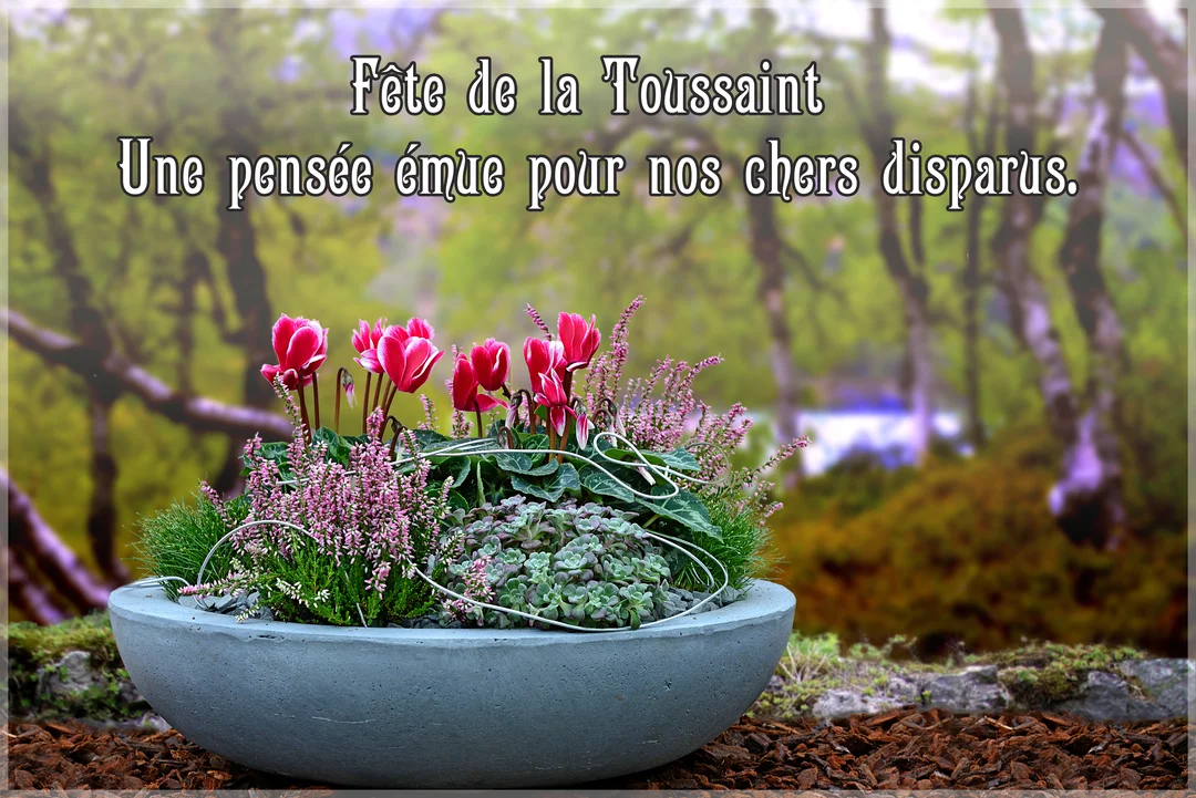 Une composition de fleurs roses et de plantes vertes dans un pot gris est posée en extérieur, avec un texte pour la Toussaint.