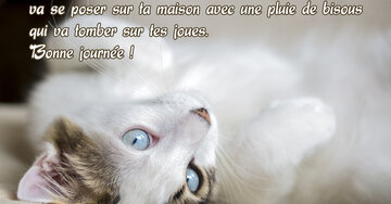 Aperçu de la carte : « La météo m'informe qu'un nuage de tendresse va se poser sur ta maison... »