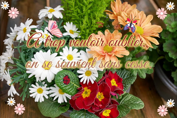 Citation 'A trop vouloir oublier, on se souvient sans cesse' sur un fond de composition florale avec des marguerites, primevères et papillons.