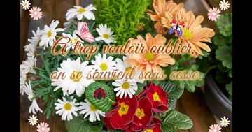 Aperçu de la carte : A trop vouloir oublier, on se souvient sans cesse.