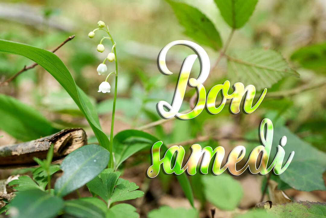 Une tige de muguet avec ses clochettes blanches se dresse au milieu d'un sous-bois verdoyant, avec l'inscription 'Bon samedi' en lettres stylisées.