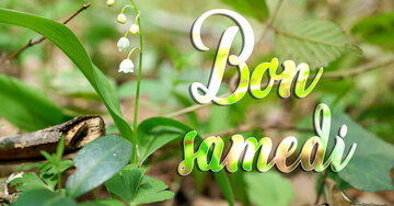 Aperçu de la carte : Bon samedi
