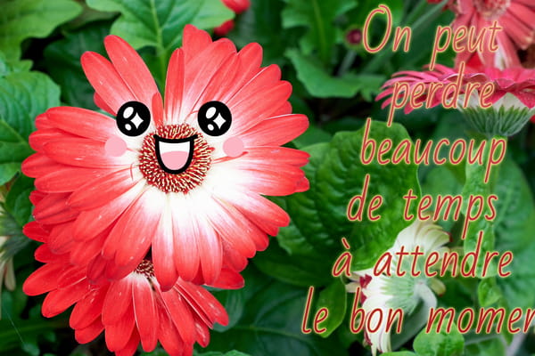 Carte illustrée d'une fleur de gerbera souriante avec la citation inspirante sur le temps et l'attente du bon moment.