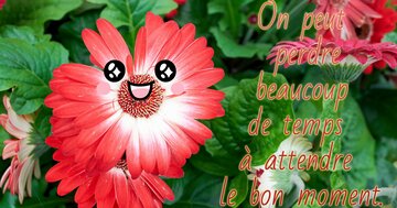 Aperçu de la carte : « On peut perdre beaucoup de temps à attendre... »