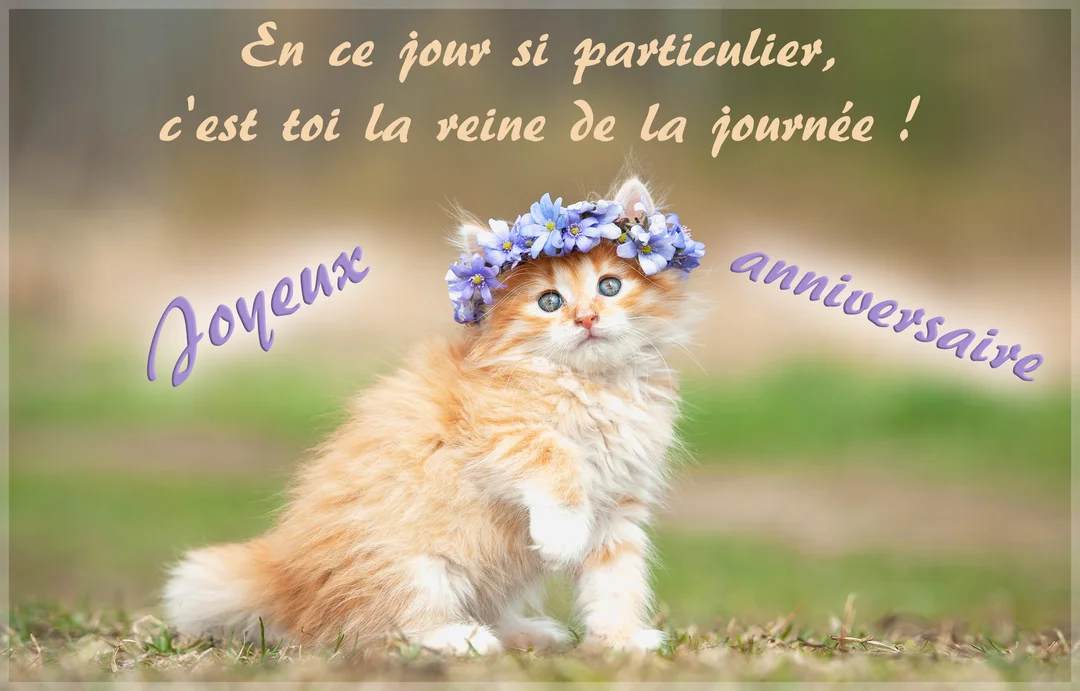 Un jeune chaton roux et duveteux aux yeux bleus est assis dans l'herbe, portant une couronne de petites fleurs violettes sur sa tête.