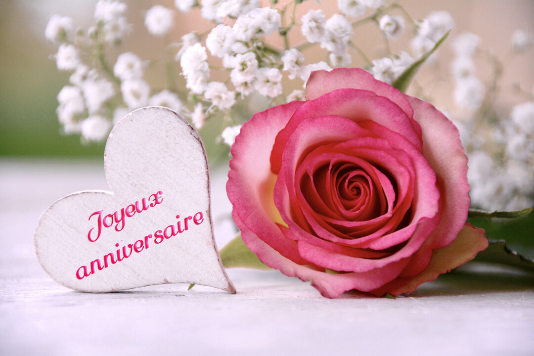 Une rose rose est posée à côté d'un cœur en bois blanc sur lequel est écrit 'Joyeux anniversaire', avec du gypsophile en arrière-plan.