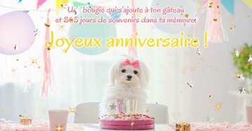 Aperçu de la carte : « Une bougie qui s'ajoute à ton gâteau et 365 jours de souvenirs... »