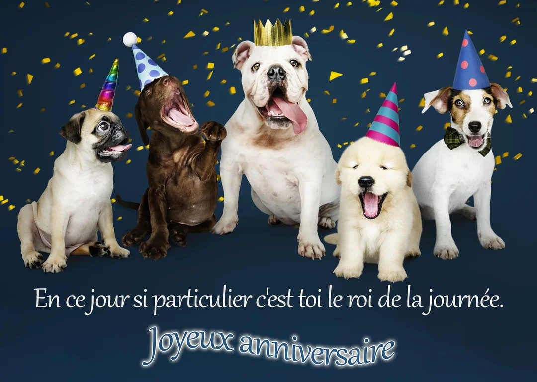 Une photographie de cinq chiens de races différentes, assis côte à côte, portant des chapeaux de fête sous une pluie de confettis dorés.