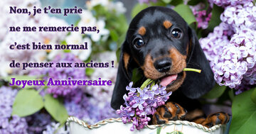 Aperçu de la carte : « C'est normal de penser aux anciens ! Joyeux Anniversaire... »