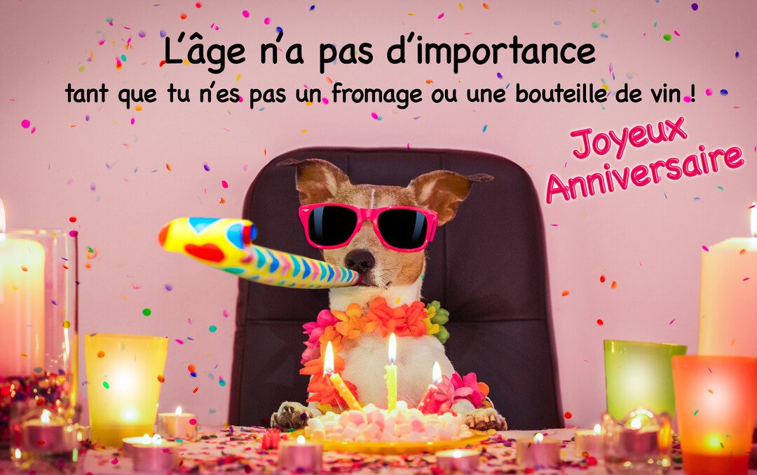 Un chien Jack Russell coiffé de lunettes de soleil roses fête son anniversaire à un bureau, avec gâteau, bougies et confettis.