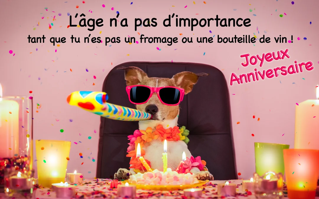 Un chien Jack Russell coiffé de lunettes de soleil roses fête son anniversaire à un bureau, avec gâteau, bougies et confettis.