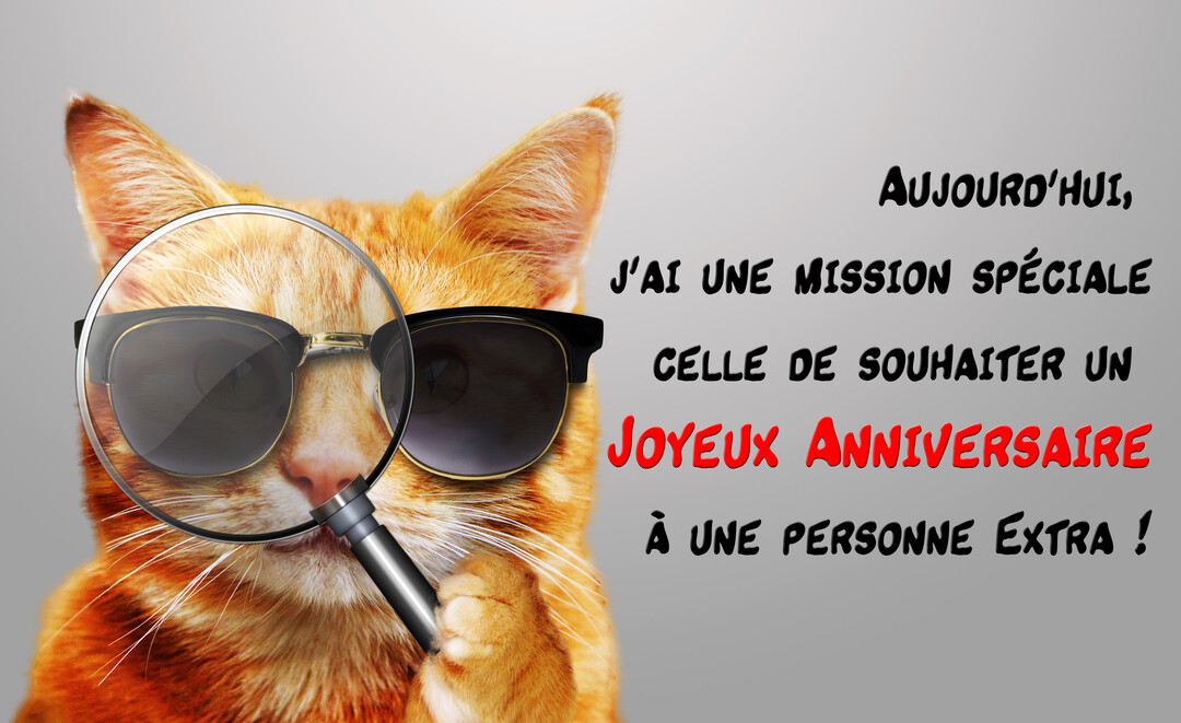 Un chat roux portant des lunettes de soleil noires observe à travers une loupe qu'il tient, sur un fond gris uni.