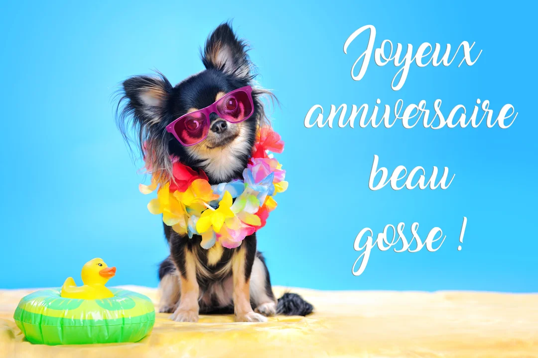 Un petit chien noir à lunettes roses et collier de fleurs est assis sur du sable, à côté d'une bouée canard, sur fond bleu.