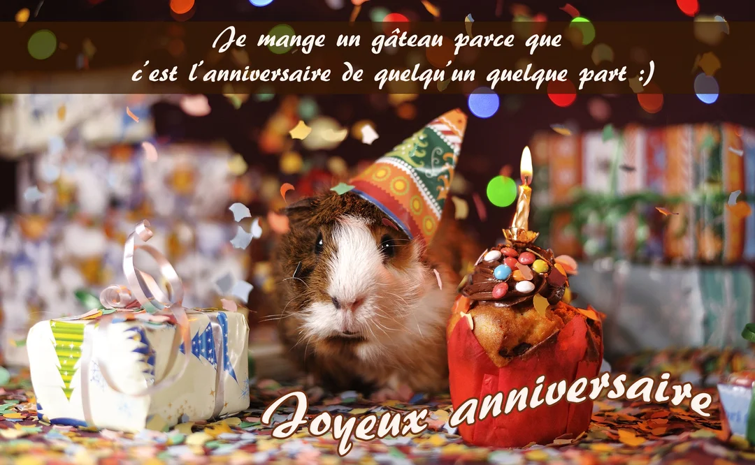 Un cochon d'Inde coiffé d'un chapeau pointu est assis entre un petit gâteau avec bougie et un cadeau, sous des confettis colorés.