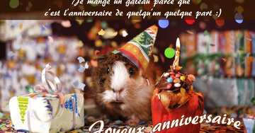 Aperçu de la carte : « Je mange un gâteau parce que c'est l'anniversaire de quelqu'un quelque part... »